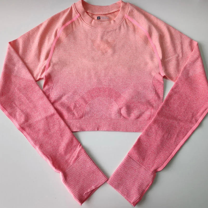 Women Cropped Seamless Long Sleeve Top Crop